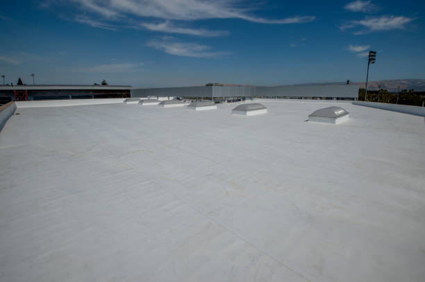 Best Commercial Roofing Services  in Scottville, MI