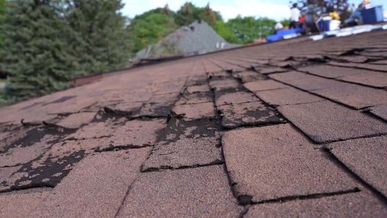 Fast & Reliable Emergency Roof Repairs in Scottville, MI