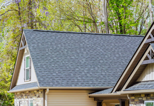 Skylights in Scottville, MI